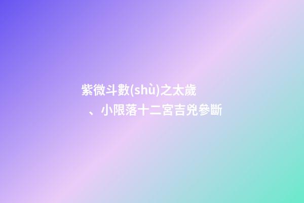 紫微斗數(shù)之太歲、小限落十二宮吉兇參斷